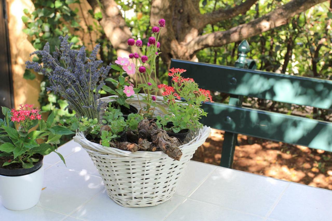 Vila Rojana Βόντιτσε Εξωτερικό φωτογραφία